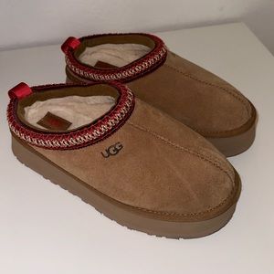 tasman uggs
